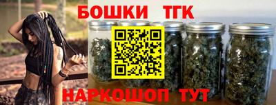 крисы Новозыбков
