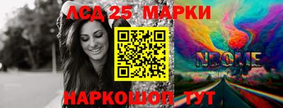 крисы Новозыбков