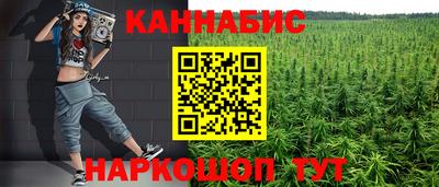 крисы Новозыбков